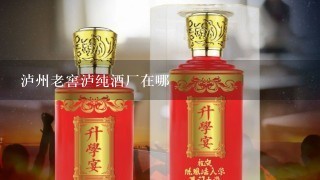 泸州老窖泸纯酒厂在哪