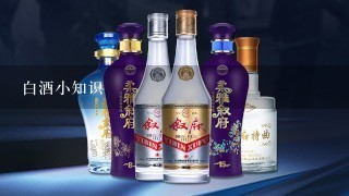 白酒小知识