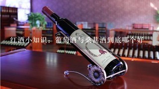 红酒小知识：葡萄酒与桑葚酒到底哪个好