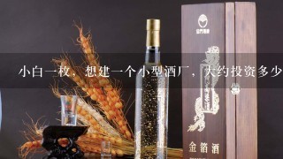 小白一枚，想建一个小型酒厂，大约投资多少