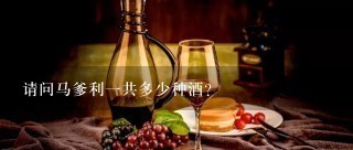 请问马爹利一共多少种酒?