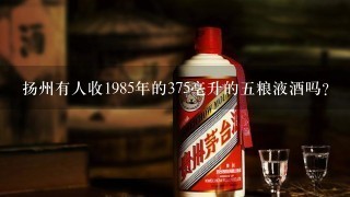 扬州有人收1985年的375亳升的5粮液酒吗?