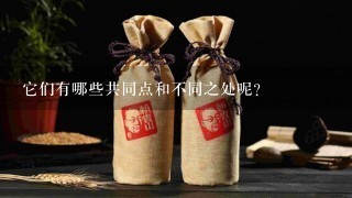 它们有哪些共同点和不同之处呢？