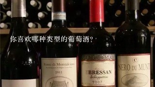 你喜欢哪种类型的葡萄酒？